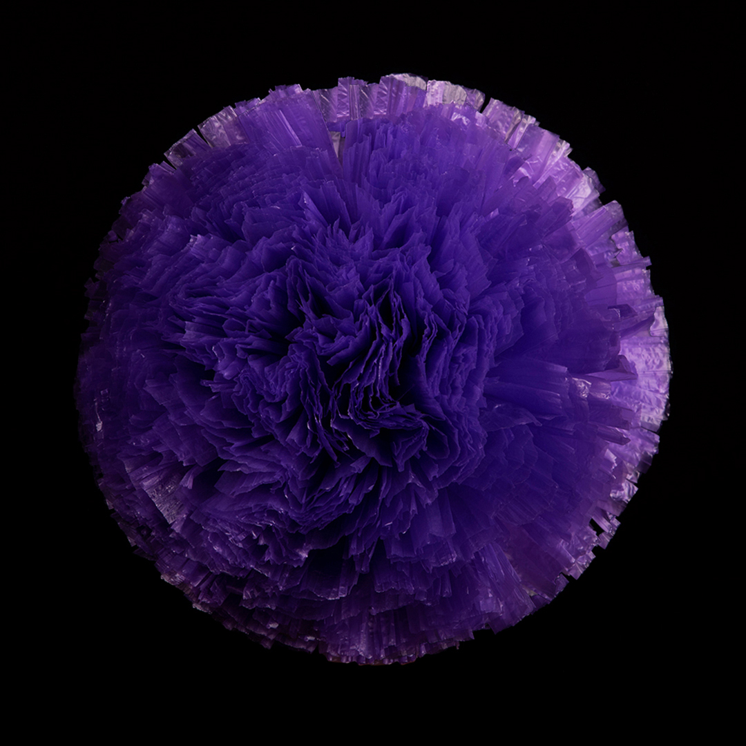 Purple (11)